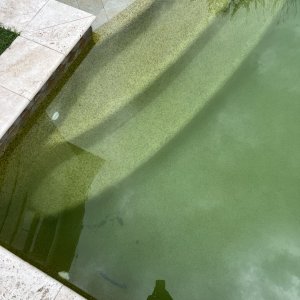 IMG_3883.jpeg