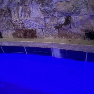 IMG_6603.jpeg