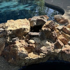 IMG_5333.jpeg