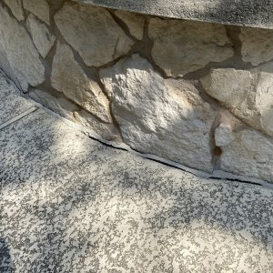 IMG_8658.jpeg