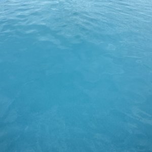 IMG_1624.jpeg