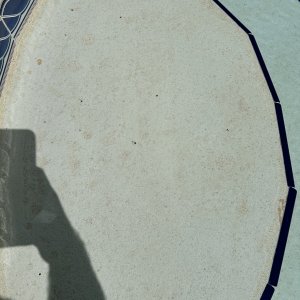 IMG_3872.jpeg