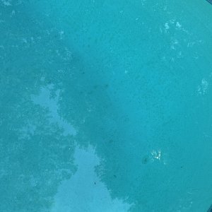 IMG_3873.jpeg