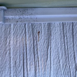 IMG_3519.jpeg