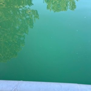 june10Pool.jpg