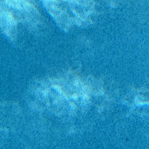 IMG_5872.jpeg