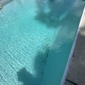 IMG_3716.jpeg