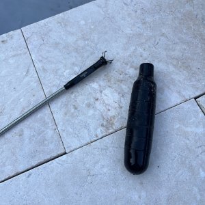 Retrieved Bladder.jpg