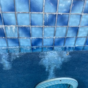 IMG_3161.jpeg