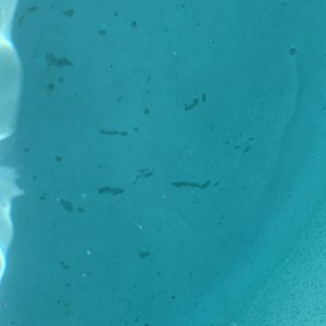 IMG_1028.jpeg