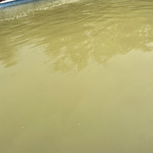IMG_1836.jpeg