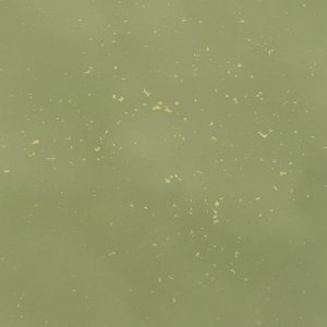 IMG_3248.jpeg