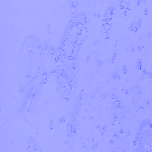 20240627_213207.png