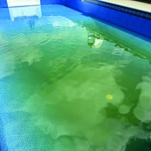 Pool Pic 5.jpg