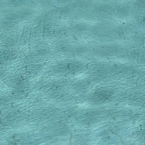 IMG_1047.jpeg