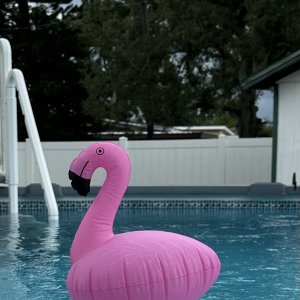 IMG_2012.jpeg
