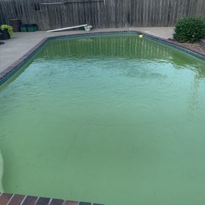 IMG_9591.jpeg