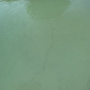 IMG_9593.jpeg