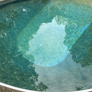 IMG_4444.jpeg