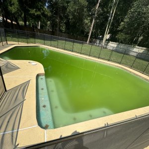 IMG_1380.jpg