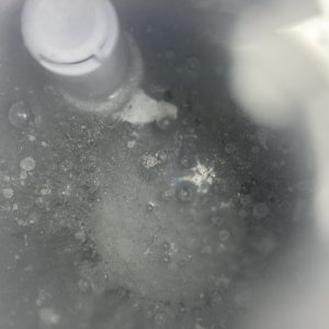 IMG_8984.jpeg