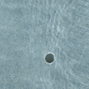 IMG_7728.jpeg