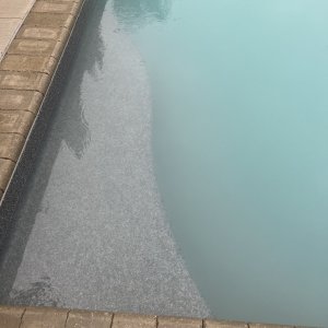 IMG_2957.jpeg
