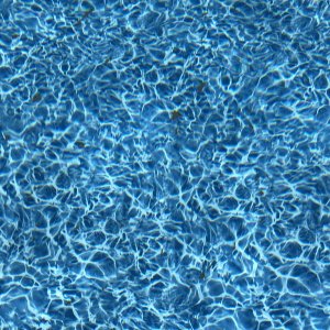 IMG_2488.jpeg