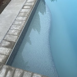 IMG_2987.jpeg