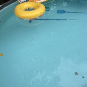 IMG_1787.jpeg