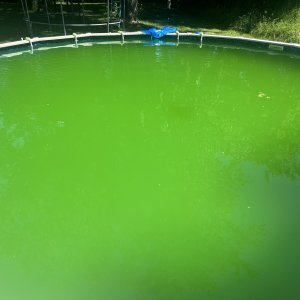 IMG_0490.jpeg
