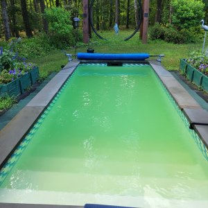 20240706_pool.jpg