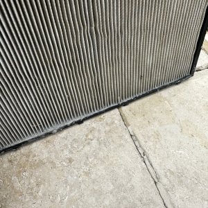 IMG_7206.jpeg