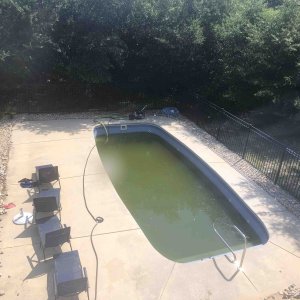 Green pool.jpg
