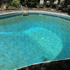 IMG_4503.jpeg