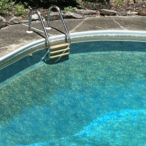 IMG_4501.jpeg