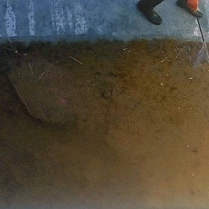 mud.jpg
