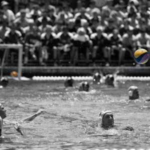 Water-Polo_Mike-Lewis.jpg