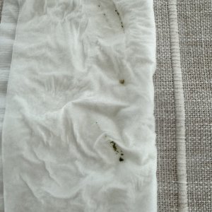 IMG_6131.jpeg