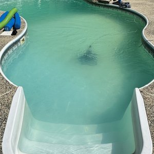 IMG_9550.jpeg