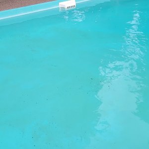 20240730_180110.jpg