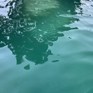 IMG_0050.jpeg