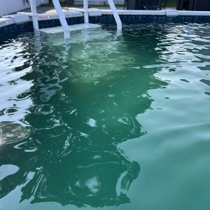 IMG_0048.jpeg