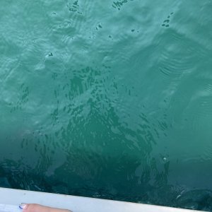 IMG_0047.jpeg