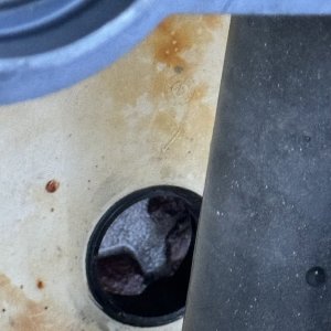 IMG_9909.jpeg
