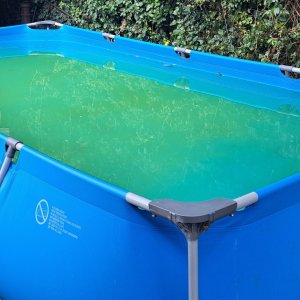 pool..jpg