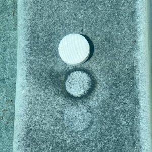 Step w puck 1.jpg