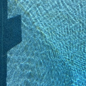 IMG_0404.jpg