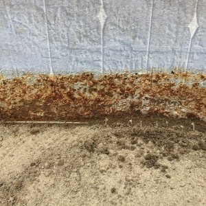 IMG_0885.jpeg