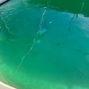IMG_3828.jpeg